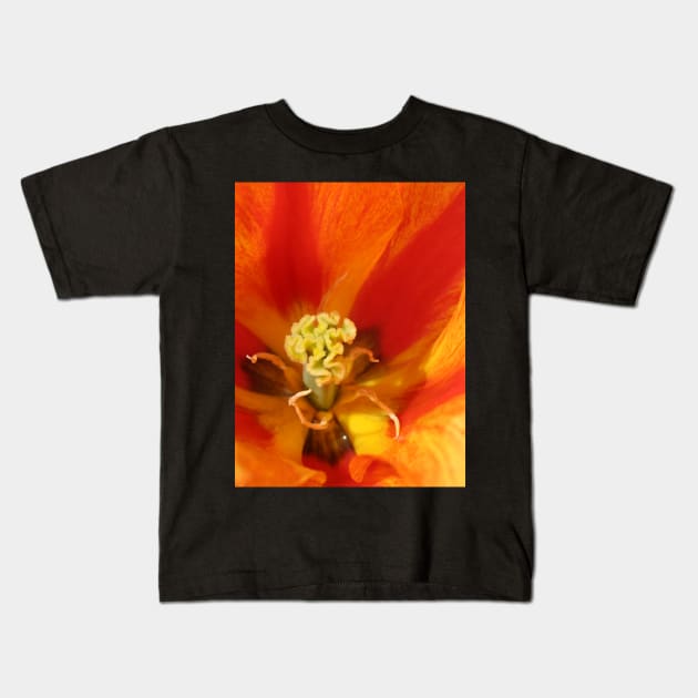 Fire Petal Kids T-Shirt by RFMDesigns